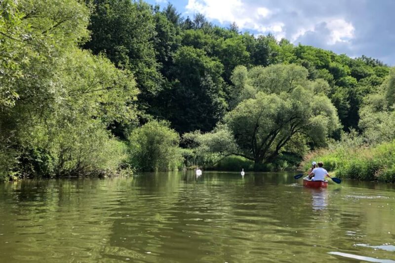 Ausflugsziele in Baden-Württemberg: Unsere ganz persönlichen Tipps für